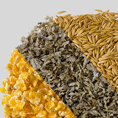 einzelfutter fuer pferde bubblenavibild